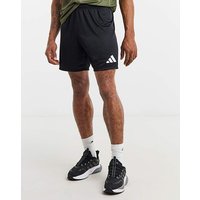 ENT26 Training Shorts