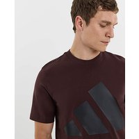 Big Logo T Shirt 4XL58 60