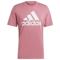 Essentials Big Logo T Shirt S34 37