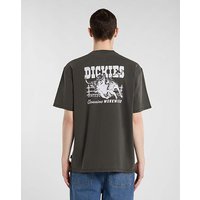 Buchtell Back Graphic T Shirt