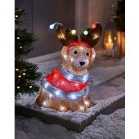 Charlie Cockapoo Light