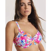 Savaneta Plunge Bikini Top