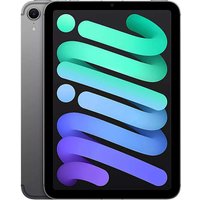 iPad mini 8.3 inch