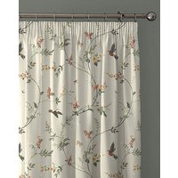 D&D Darnley Pencil Pleat Curtains & x 183cm