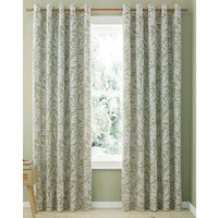 Sorrel Curtains x 229cm