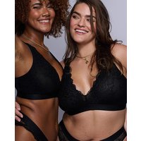 Signature Lace Bralette FF G