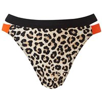 Animal Print Hipster Bikini Brief Animal Print