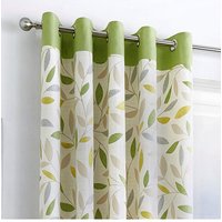 Beechwood Eyelet Curtains x 182cm