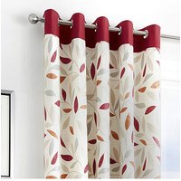 Beechwood Eyelet Curtains x 183cm