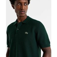 Fine Knit Polo 3XL51