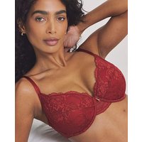 Padded Plunge Lace Push Up Bra Dark