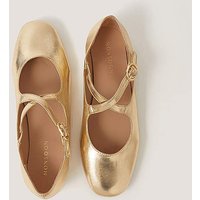 Dana Metallic Ballet Flats