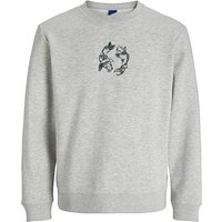 & Japanese Koi Sweatshirt Light Grey Melange & 4XL
