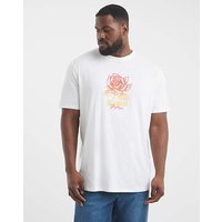 & Almeria Graphic T Shirt Bright & L