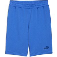 Essentials No.1 Logo 10 Inch Shorts L38