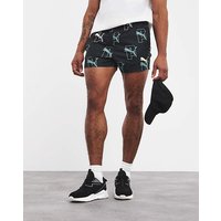 Swim Shorts