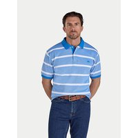 Birdseye Stripe Pique Polo
