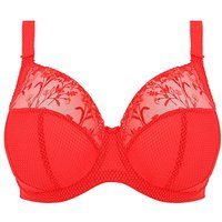 Charley Plunge Wired Bra