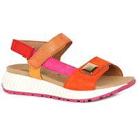 Gifted Wedge Heel Sandals 1 2