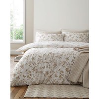 Linens Elise Lace Duv NTL
