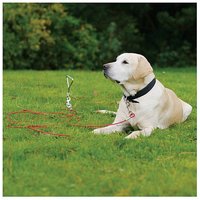 Rosewood Tie Out Cable Rosewood Tie Out Cable