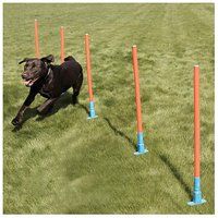 Agility Slalom With Bag Agility Slalom With Bag