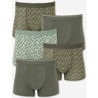 5 Pack Hipsters Jacamo 54 56