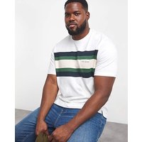 Chest Stripe Crew Neck T shirt 6