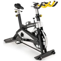 BK7038 Studio Bike