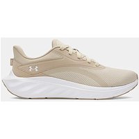 Ascend Trainers