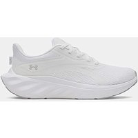 Ascend Trainers
