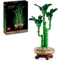 LEGO Botanicals Lucky Bamboo Indoor Plan at JD Williams Catalogue LEGO Botanicals Lucky Bamboo Indoor Plan.