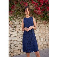 & Lace Mini Shift Dress &