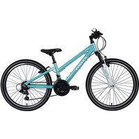 Paris HT Bike