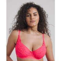 Harper Geometric Lace Bra Neon Pink