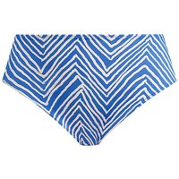 FIJI FALLS BIKINI BRIEF