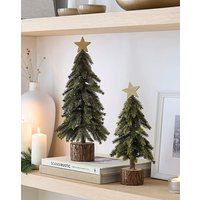 Set 2 Trees