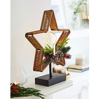 Star Wicker Bulb Floirstry Light