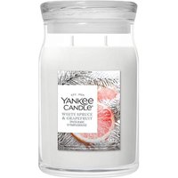 Large Spruce & Grapefruit