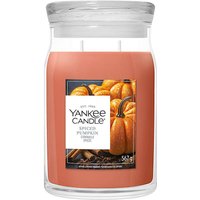 Large Spiced Pumpkin