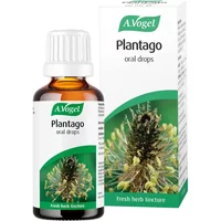 A.Vogel Plantago Lanceolata 50ml