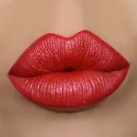 Gerard Cosmetics Metal Matte Liquid Lipstick Cherry Bomb