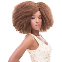 Janet Collection Synthetic 4c Mambo Crinkly Afro Kinky 24 / 99J
