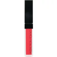 Addiction The Matte Lip Liquid 006 Femme Chapeau