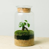 Terrário Eco