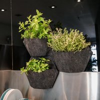 Smart Garden Trio