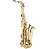 Trevor James AlphaSax Alto Saxophone Outfit Gold Lacquer