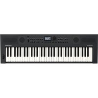 Roland GO:KEYS 5 Music Creation Keyboard Graphite