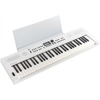 Roland GO:KEYS 5 Keyboard White with Music Rest