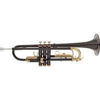 Roy Benson TR101K Trumpet Black and Gold
